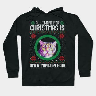 All I Want for Christmas is American Wirehair - Christmas Gift for Cat Lover Hoodie